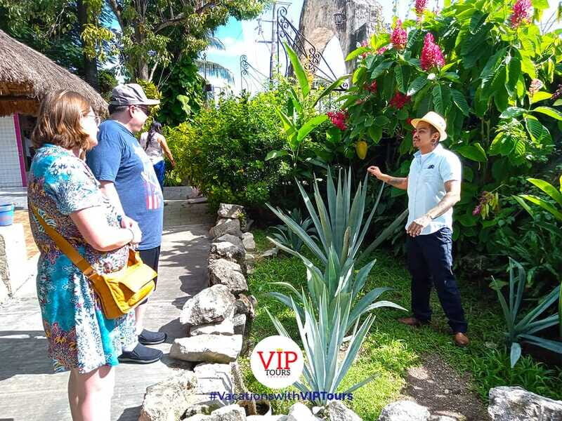 Private Van Service. Tasting the best of Cozumel - Packing tips for a 5-hour Cozumel day that runs rain or shine