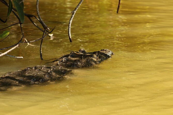 Private Yucatan Discovery Tour - Hacienda Yaxcopoil and the Mucuyche Cenote: Two Different Sides of “Underground” Yucatán