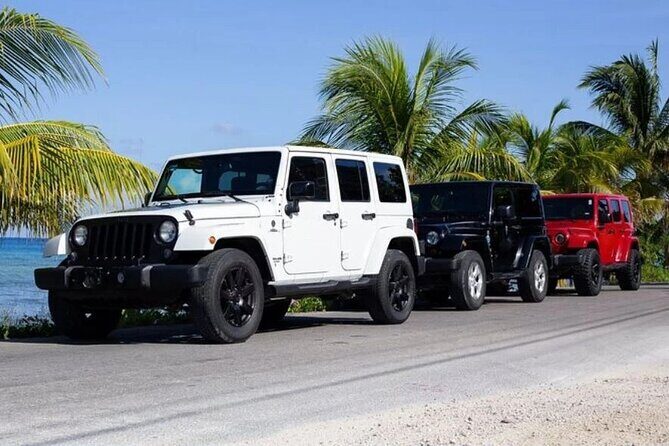 Rental Jeep Wrangler 4-Door Automatic 24h Cozumel Excursion - Key takeaways before you book