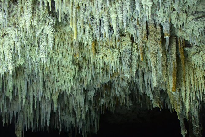 Río Secreto Playa del Carmen - Pickup, transportation, and how timing works from Playa del Carmen