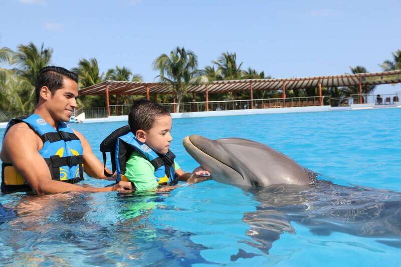 Riviera Maya: Dolphin Encounter with Beach Club Access - Marine mammal specialists: what you’ll learn beyond the hug