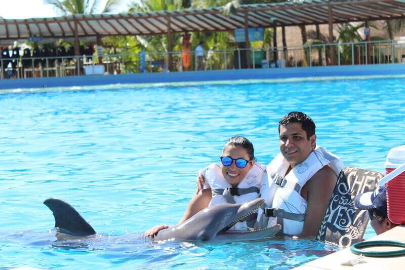 Riviera Maya: Dolphin Encounter with Beach Club Access - Dolphin Discovery Maroma: briefing, underwater platform, and timing