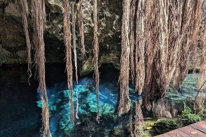Riviera Maya Half Day Casa Jaguar Cenote, Zipline and ATV - Who should book this tour (and who should skip the ATV)