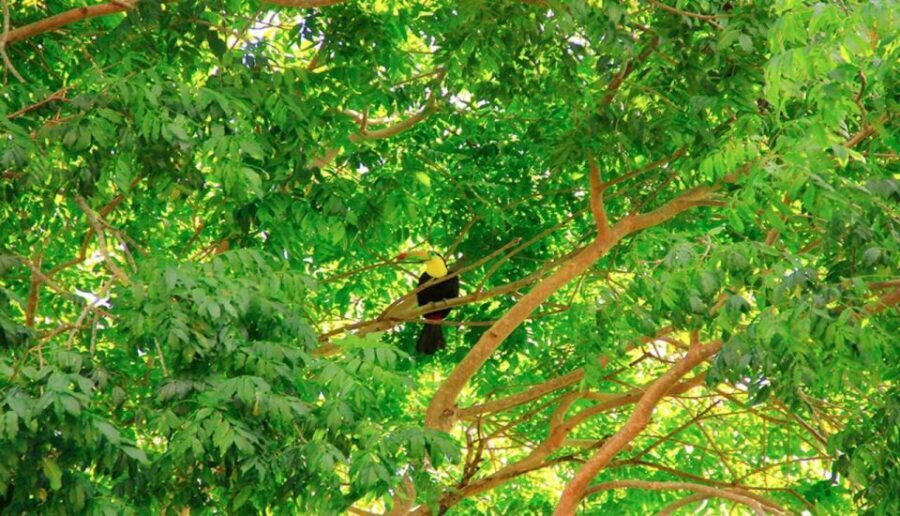 Riviera Maya: Horseback Riding at Rancho Bonanza - Quick take: what makes Rancho Bonanza worth your time