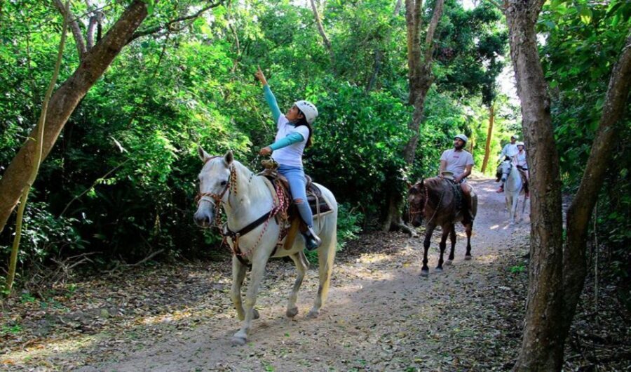 Riviera Maya: Horseback Riding at Rancho Bonanza - Getting there smoothly: shared pickup timing and small timing rules