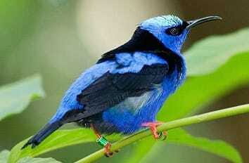 Riviera Maya: Puerto Morelos 4-Hour Bird Watching Tour - How the 6-hour rhythm fits a birding morning