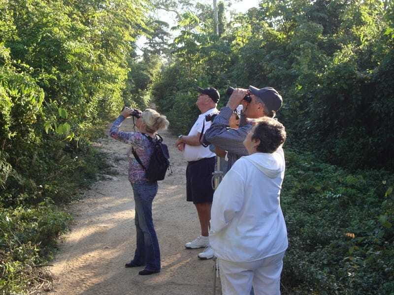 Riviera Maya: Puerto Morelos 4-Hour Bird Watching Tour - What you might see: colorful species and real variety