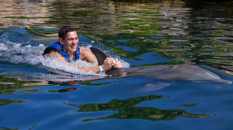 Riviera Maya: Swim with dolphins Interax - Key takeaways before you book Interax with dolphins