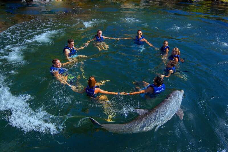 Riviera Maya: Swim with dolphins Interax - What to bring (and what will slow you down)