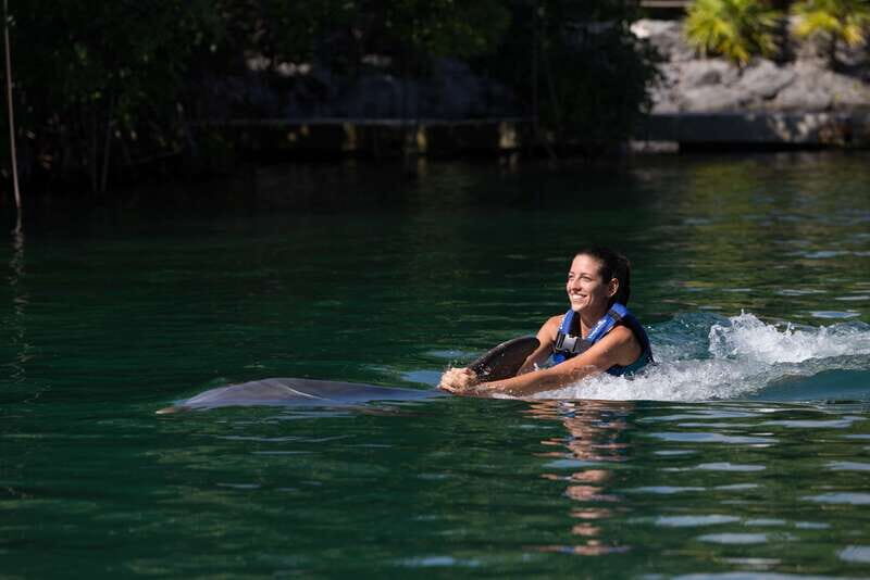 Riviera Maya: Swim with dolphins Interax - What Interax with dolphins in Riviera Maya feels like