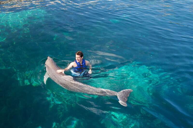 Riviera Maya: Swim with dolphins Interax - Cost and value: $138 plus the $50 MXN tax
