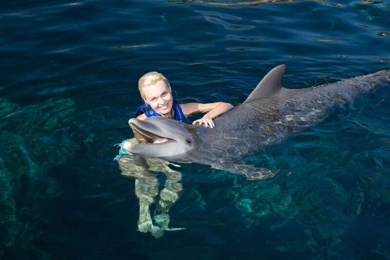 Riviera Maya: Swim with dolphins Interax - Where the experience starts: next to Xcaret Park parking lot