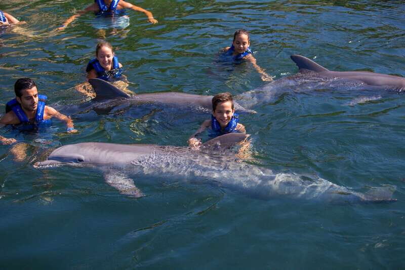 Riviera Maya: Swim with dolphins Primax - What to bring (and what to leave at home) for a smoother session