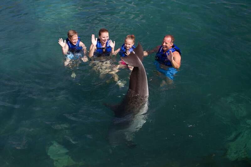 Riviera Maya: Swim with dolphins Primax - Dolphin snorkeling for 15 minutes: short, focused, and guided