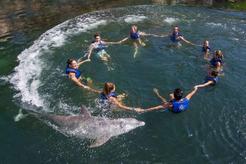 Riviera Maya: Swimming Experience with Dolphins - Key things to know before you go
