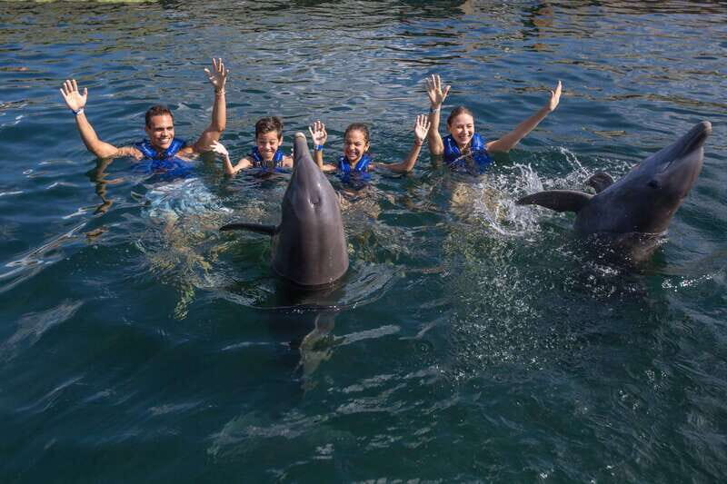 Riviera Maya: Swimming Experience with Dolphins - Getting the most from your visit: smart prep in 10 minutes