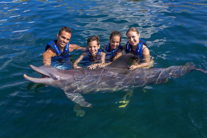 Riviera Maya: Swimming Experience with Dolphins - Price and value: $127 plus a required Mexico aquatic tax