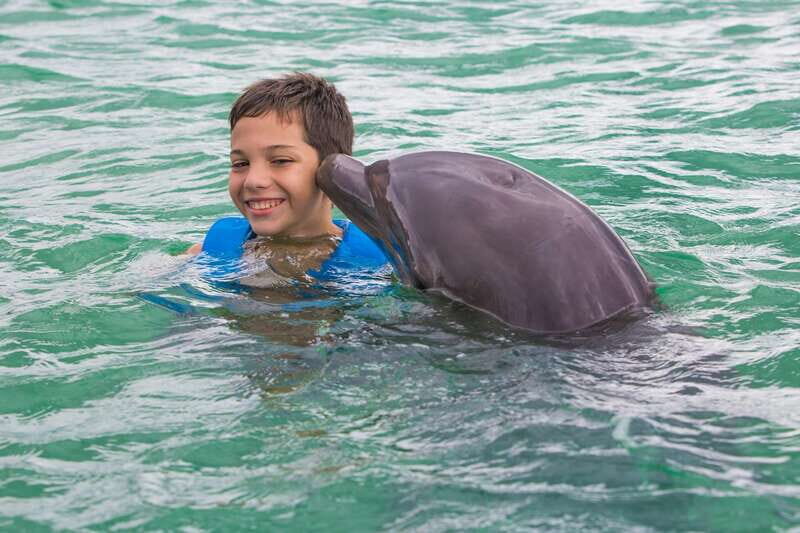 Riviera Maya: Swimming Experience with Dolphins - Safety rules you should plan around (phones, jewelry, and the habitat)