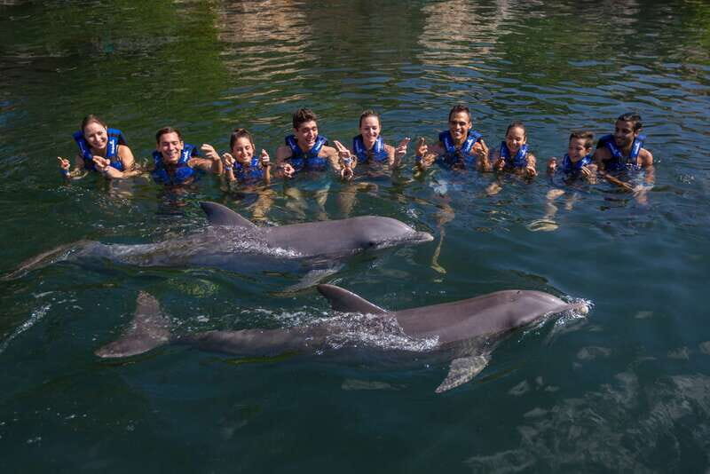 Riviera Maya: Swimming Experience with Dolphins - Who this is best for (and who should skip it)