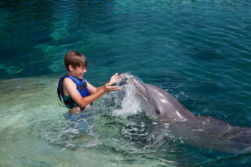 Riviera Maya: Swimming Experience with Dolphins - Where to meet: next to Xcaret Park parking lot