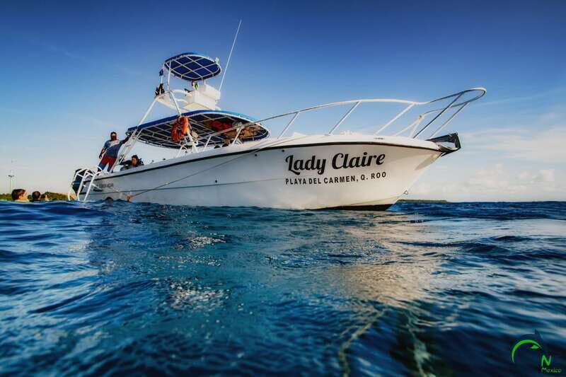 Scuba Dive in Playa del Carmen - 2 Dives (Certified divers) - Two reef sessions on different reefs: why the schedule is the value
