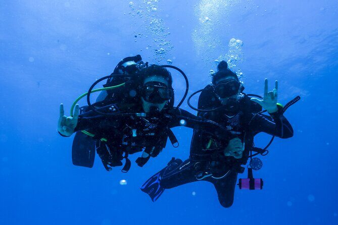 Scuba Diving for Beginners – Tulum Dive Machine - Gear, boats, and what’s included in the price