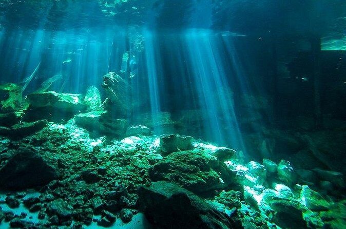Scuba Diving in Cenote Dos Ojos from Playa del Carmen - Transportation and the 2:30pm–3pm Return Window