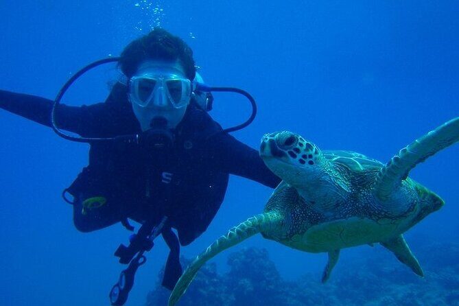 Scuba Referral Dives & Beach Club with Transportation In Riviera Maya - Maroma Beach Access: More Than Just a Launch Point