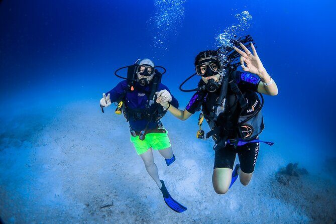 Scuba Referral Dives & Beach Club with Transportation In Riviera Maya - Who the Experience Best Suits (And Who Should Skip It)