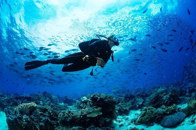 Scuba Referral Dives & Beach Club with Transportation In Riviera Maya - Getting There: Hotel Pickup, Shared Transfers, and Timing