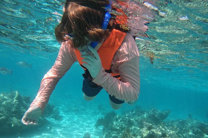 Sea Turtle Snorkeling in Akumal - What’s Not Included: Transportation