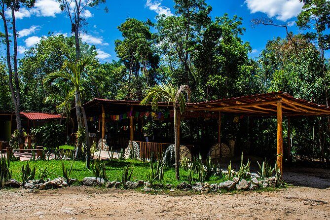 Shared ATV, Zipline, and Cenote Adventure from Playa del Carmen - Who Should Book This ATV, Zipline, and Cenote Adventure