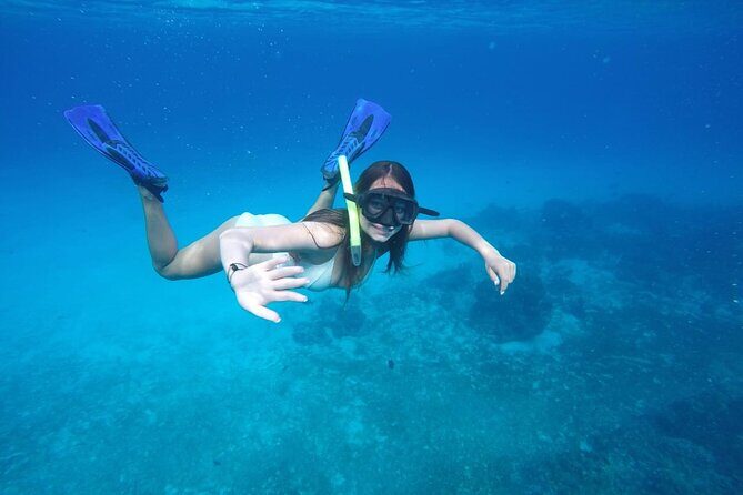 Shared Sky Snorkeling in Cozumel - Palancar and Colombia reefs: the route that makes time feel short