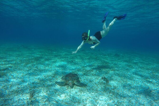 Shared Sky Snorkeling in Cozumel - Sea stars at Heaven resting place: why this stop feels different