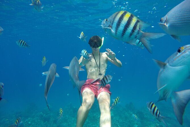 Shared Sky Snorkeling in Cozumel - Price and what your $56 covers (and what costs extra)