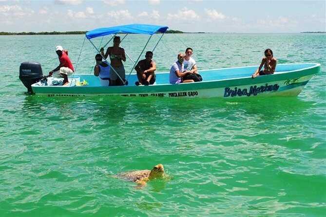 Sian Ka'an Biosphere Full Day Boat Tour with Lunch - Snorkeling in Sian Ka’an: a 45-minute reef session that fits a full day