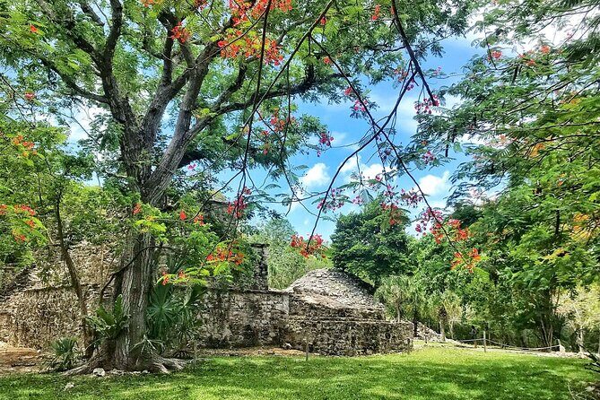 Sian Ka'an Biosphere Reserve Guided Tour - Price and value: what $250 buys you in Tulum