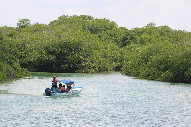 Sian Ka'an Classic - Stop 2: Punta Allen—natural pools, lunch, and a slower rhythm