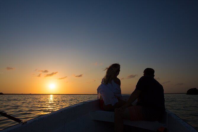 Sian Ka’an Sunset Private boat. - Wildlife spotting you can plan for: birds, crocodiles, and manatees