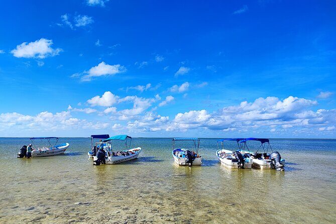 Sian Ka'an Trip from Playa del Carmen & Tulum - Punta Allen: lunch and a mini tour in a slower pocket of the region