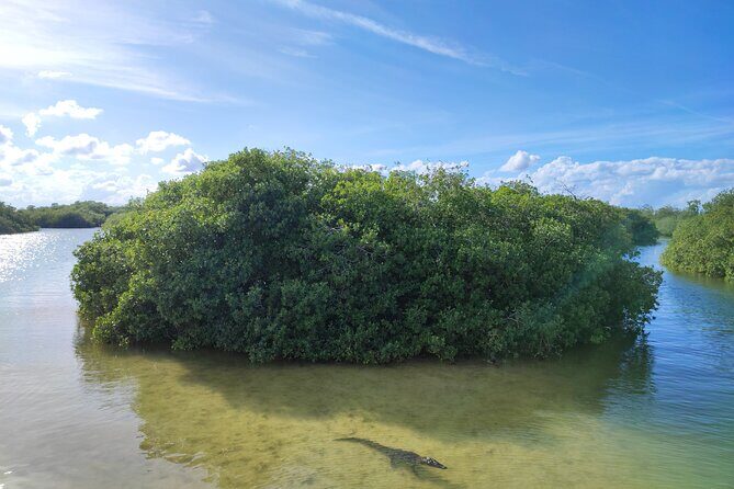 Sian Ka'an Trip from Playa del Carmen & Tulum - Included items: what you really get for the $219