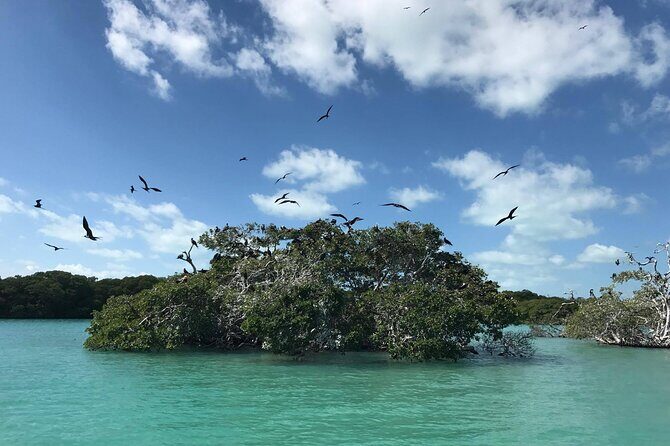 Sian Ka'an Trip from Playa del Carmen & Tulum - Budget reality: maritime tax is not optional