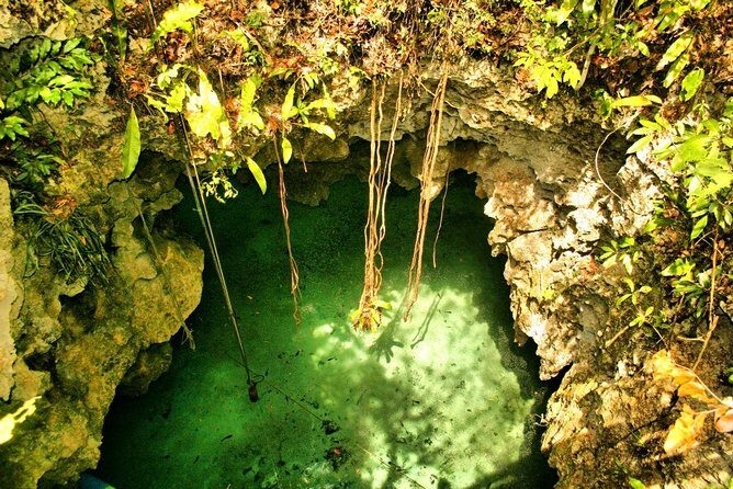 Silent Meditation in the Heart of the Cenote - Private groups - Meditation in Still Water: How the Silence Is Built In