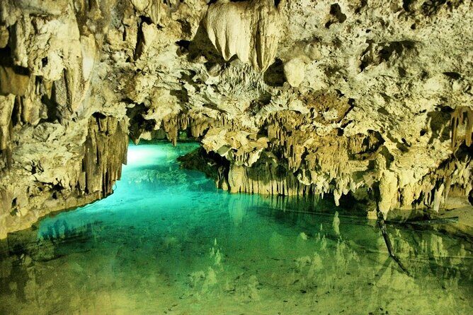 Silent Meditation in the Heart of the Cenote - Private groups - Snacks, Bottled Water, and the Lunch That Needs Confirming