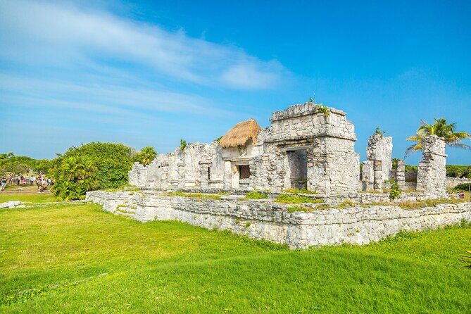 Small Group to Tulum Ruins Cenote Cave and Sea Turtles Snorkeling - Stop 3: Akumal Beach Sea Turtle Snorkeling Rules You Must Follow