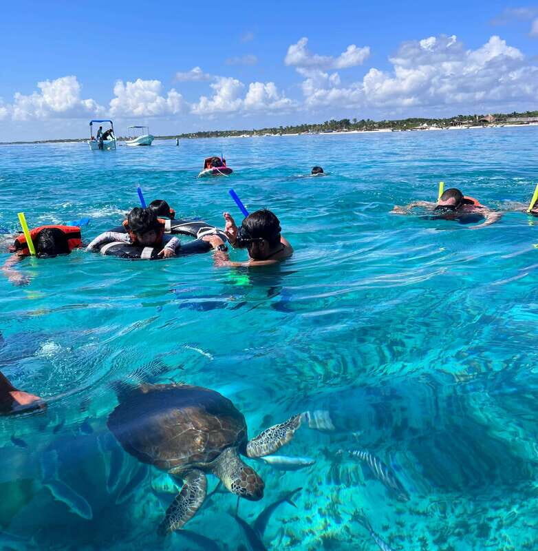 SNORKEL IN TULUM REEF, BOAT RIDE AND CALETA - What’s included for $46, and what you’ll pay on top