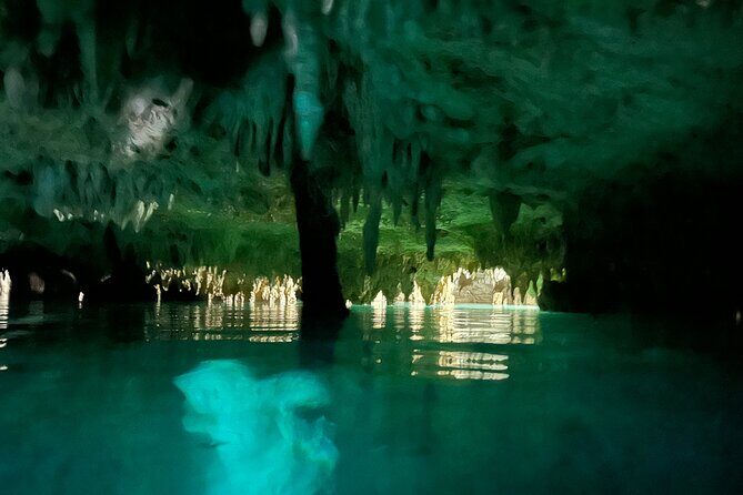Snorkeling Activity in a Cenote Expedition - Gear, breathing comfort, and how to respect the wildlife