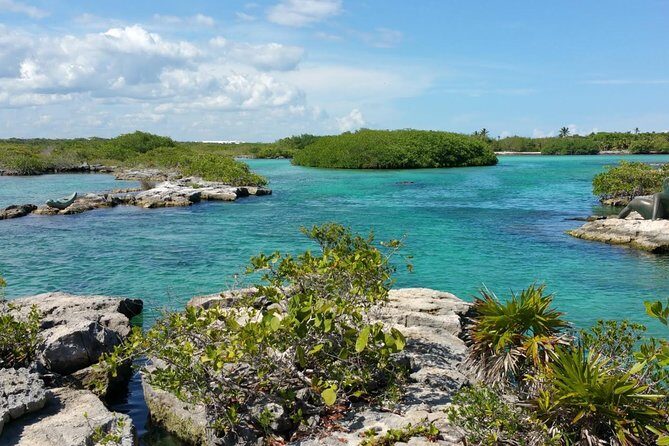 Snorkeling adventure in Yal-Kú lagoon, + Underground Cenote - Yal-Kú Lagoon Snorkeling: Calm Water, Fish, and a Few Big Surprises