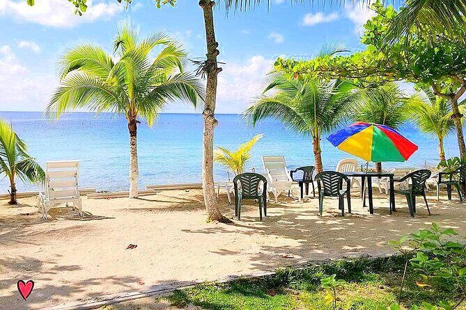 Snorkeling and Beach Club Access in Cozumel with Lunch - Cruise-Day and Local Logistics: Make It Fit Your Ship Schedule
