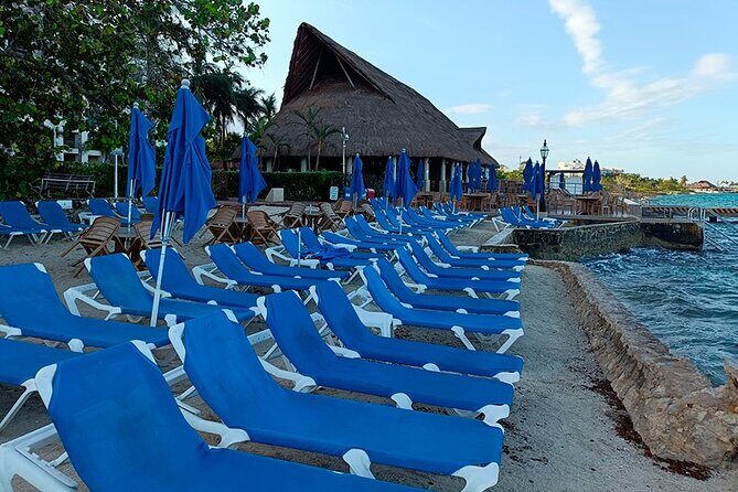 Snorkeling Trip at Cozumel Beach Club with Lunch Included - Price and Value: $55 Sounds Good—Budget the $11 Fee